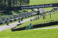 brands-hatch-photographs;brands-no-limits-trackday;cadwell-trackday-photographs;enduro-digital-images;event-digital-images;eventdigitalimages;no-limits-trackdays;peter-wileman-photography;racing-digital-images;trackday-digital-images;trackday-photos